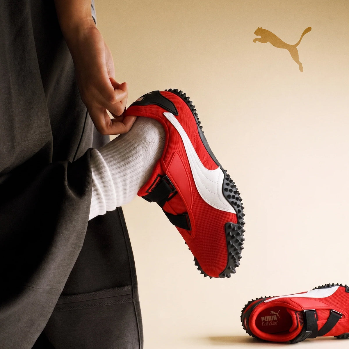 Puma