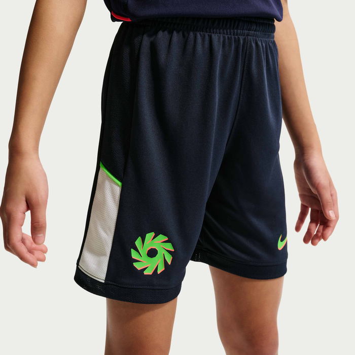 Erling Haaland Nk Acd25 Shorts