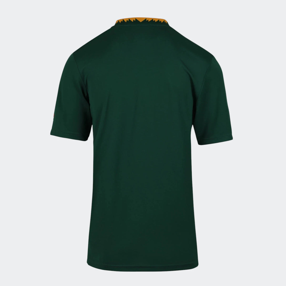 Springboks Mens Nike Stadium Fan SS Jersey Home Vl