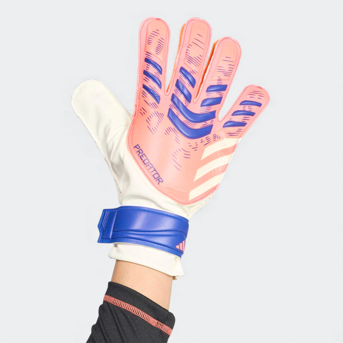 Predator Training Goalkeeper Gloves