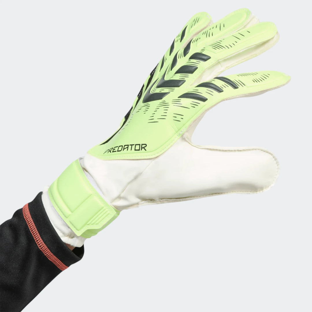 Predator Training Goalkeeper Gloves