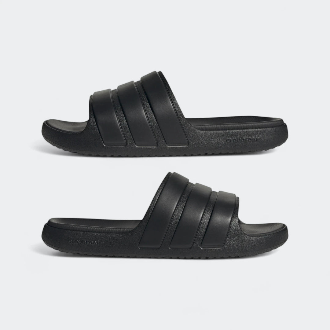 Znsory Slides