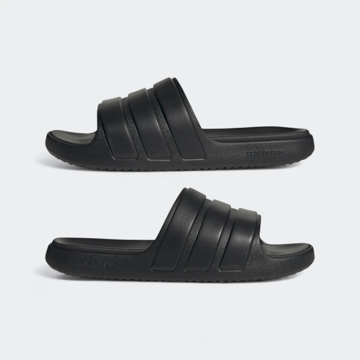 Znsory Slides