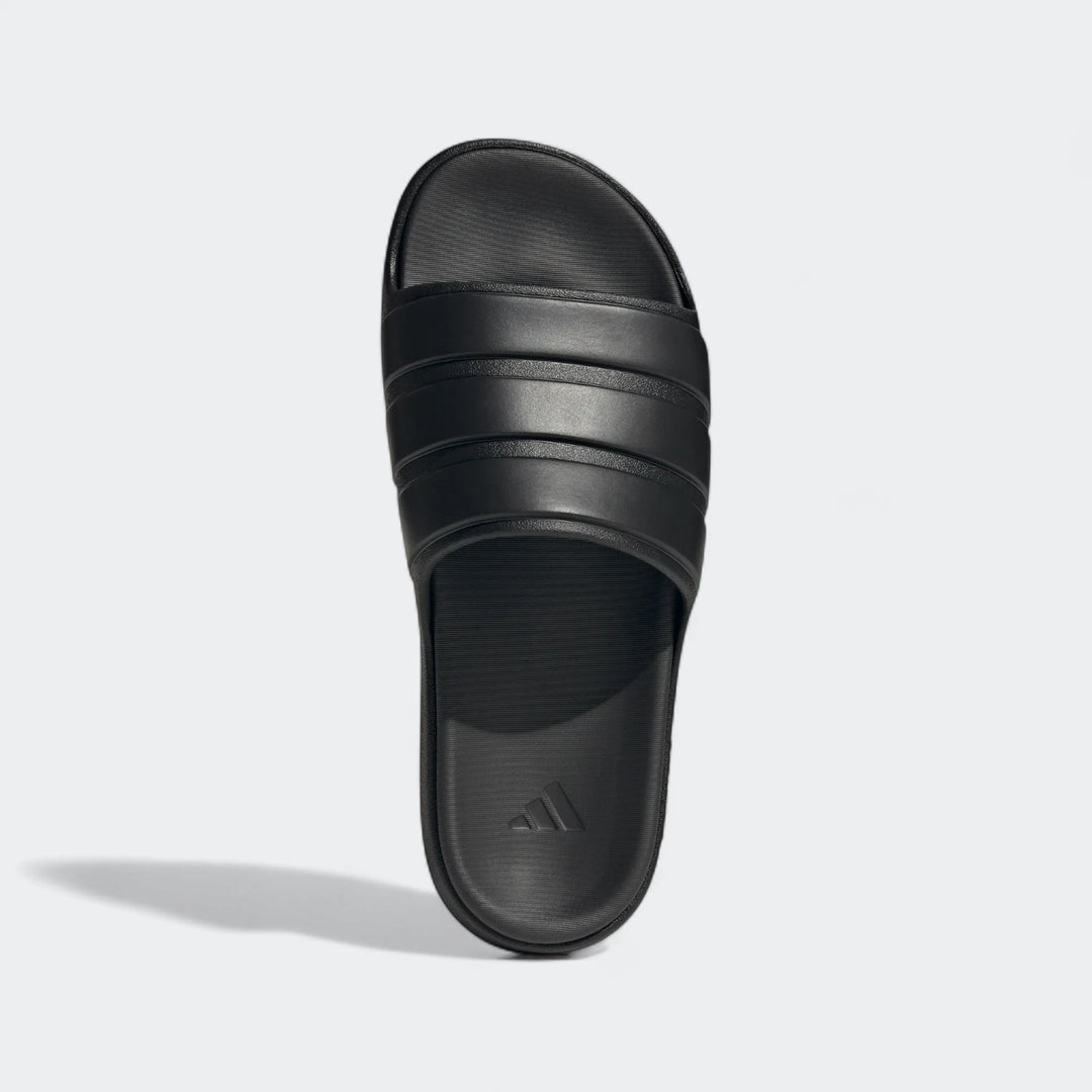 Znsory Slides