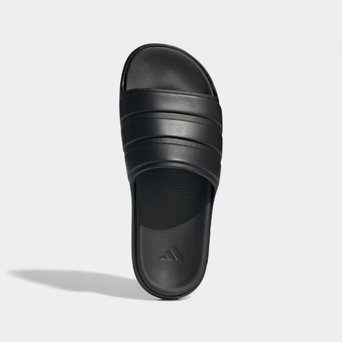 Znsory Slides