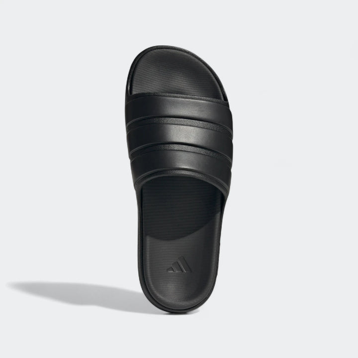 Znsory Slides