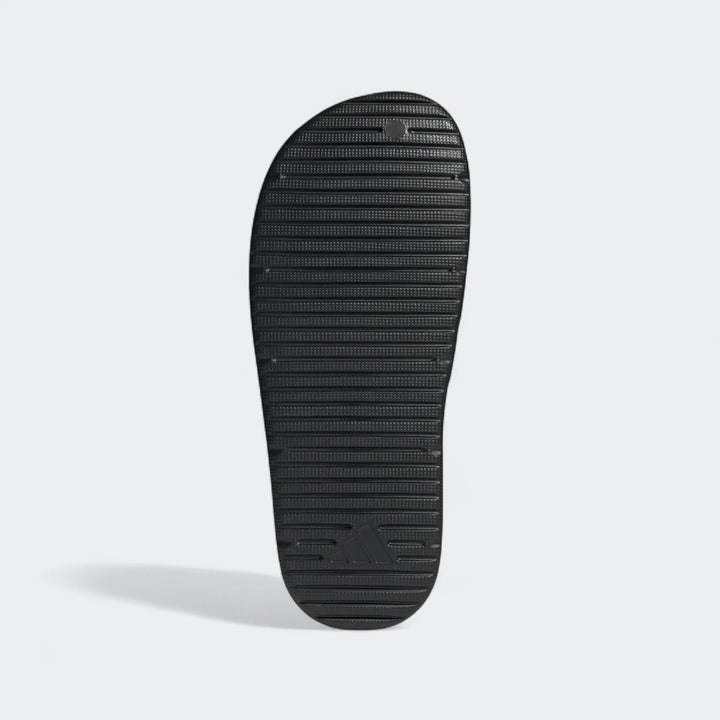 Znsory Slides