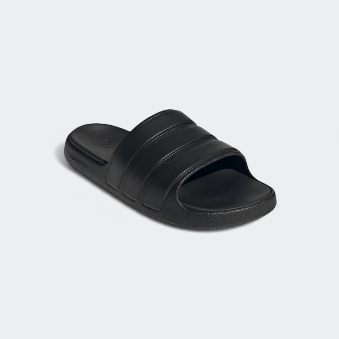 Znsory Slides