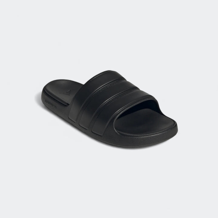 Znsory Slides