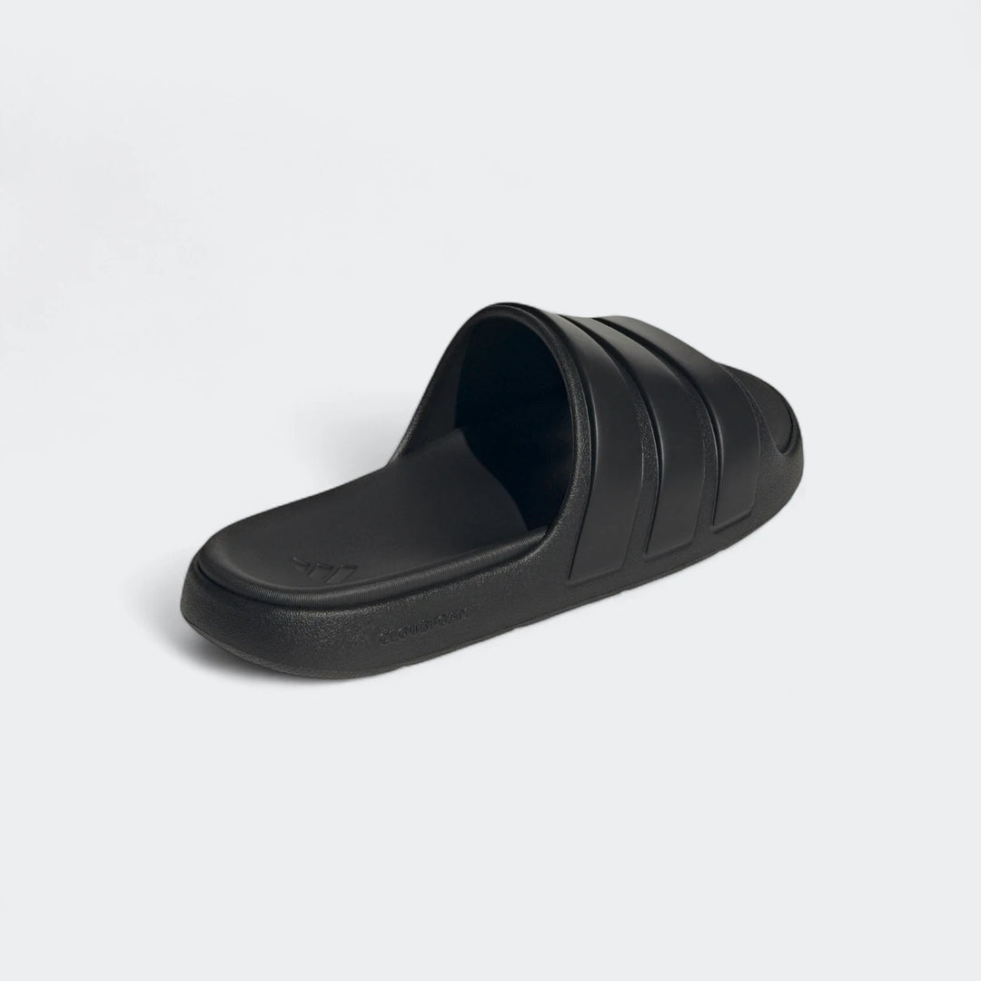 Znsory Slides