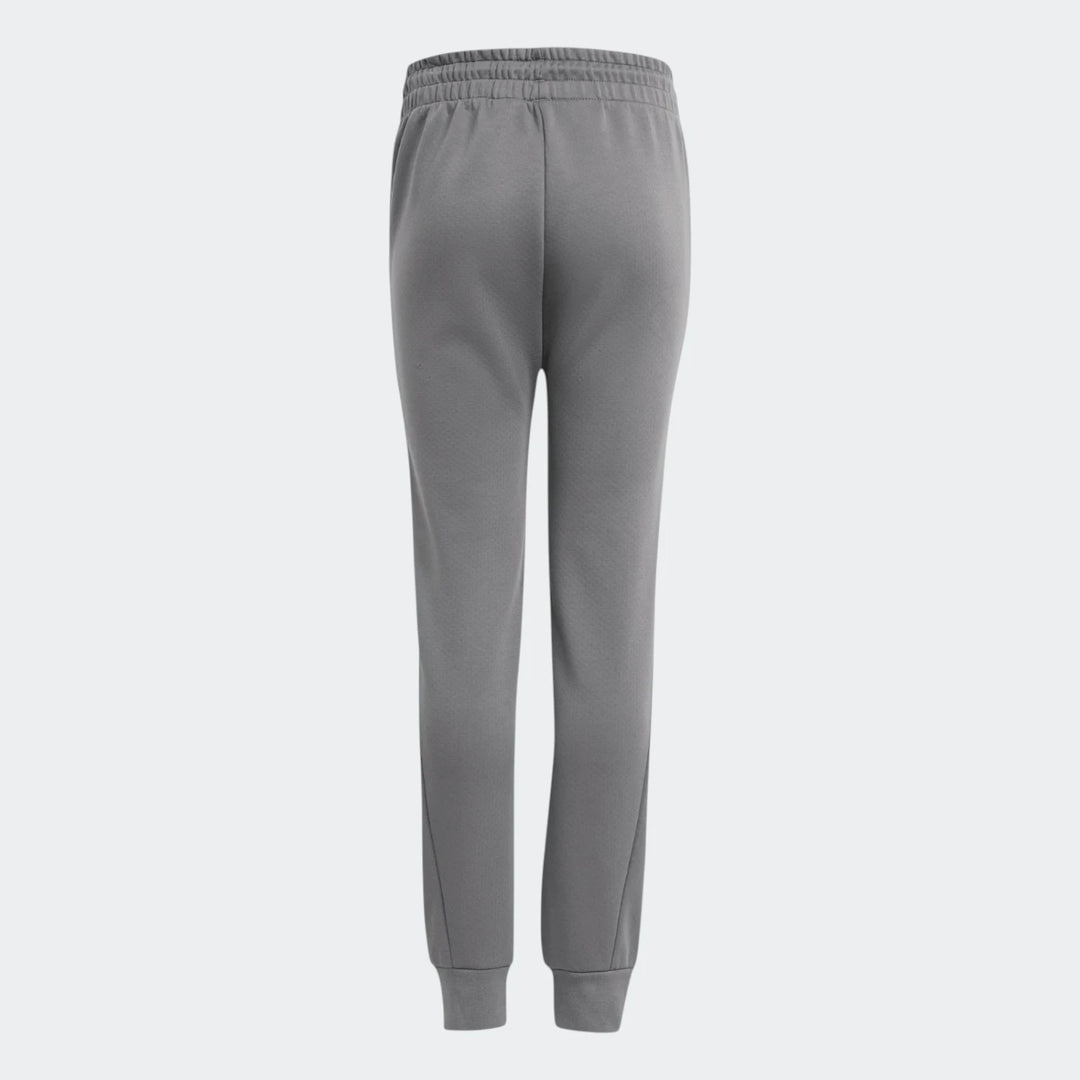 Mercedes - Amg Petronas Formula One Team Silver Arrows Pant Kids