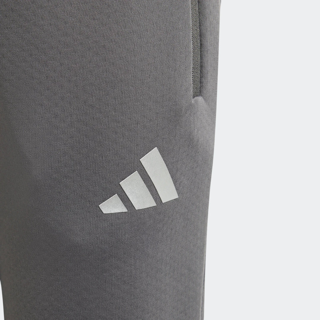 Mercedes - Amg Petronas Formula One Team Silver Arrows Pant Kids