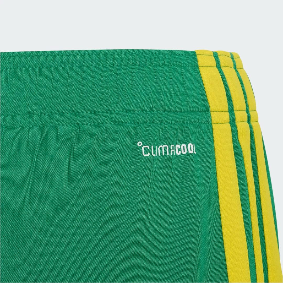 South Africa 26 Kids Home Shorts