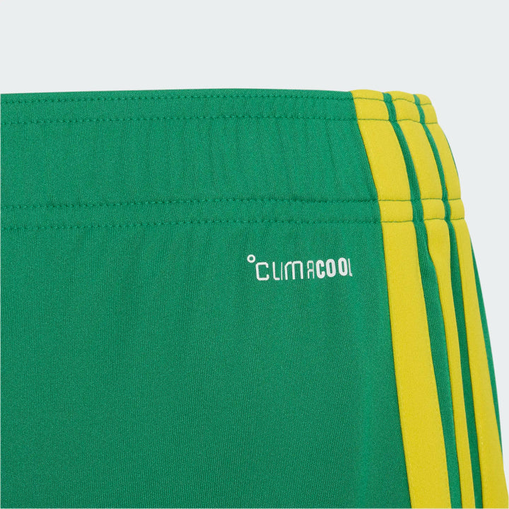 South Africa 26 Kids Home Shorts