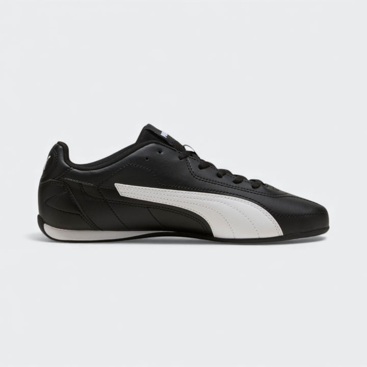 Puma Catch