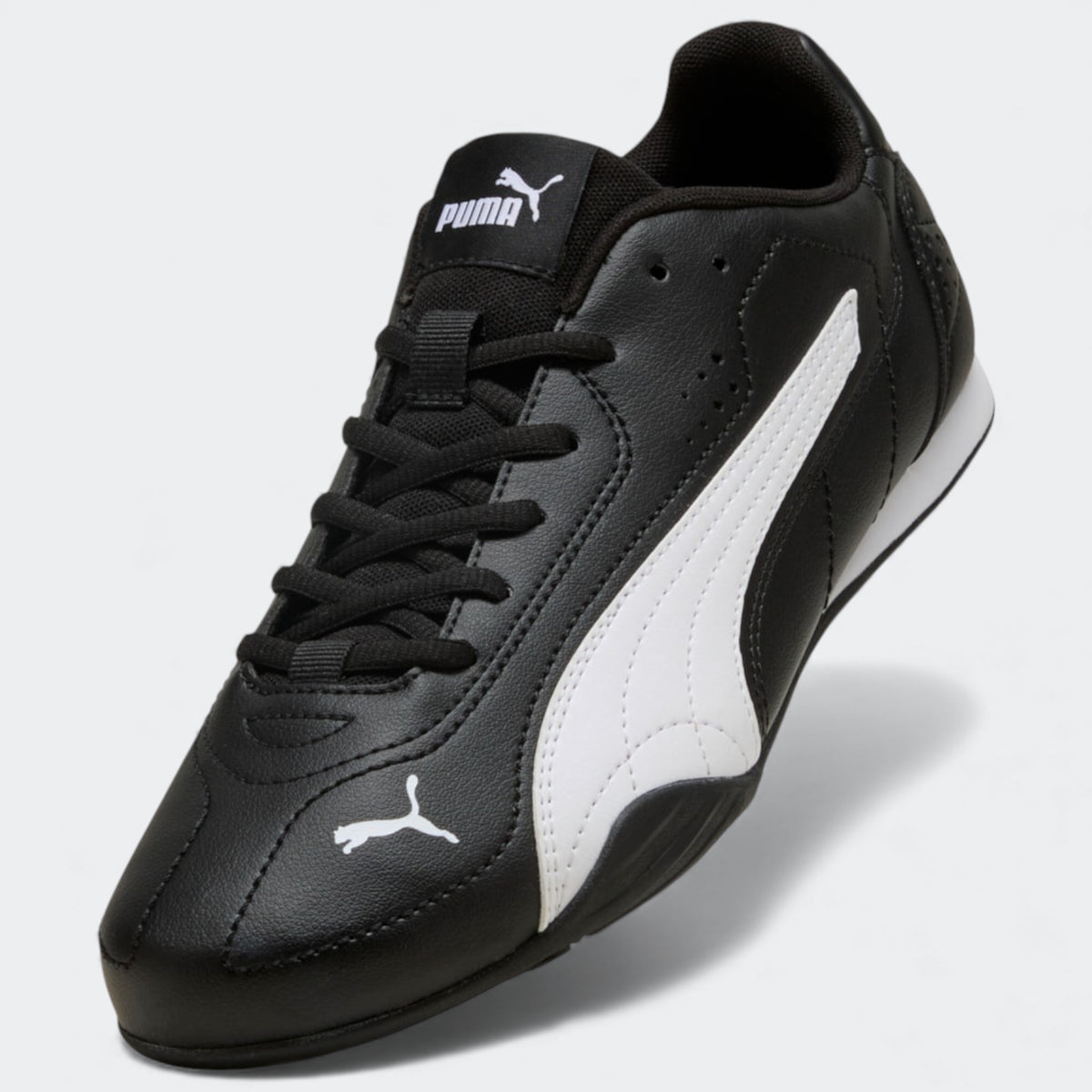 Puma Catch