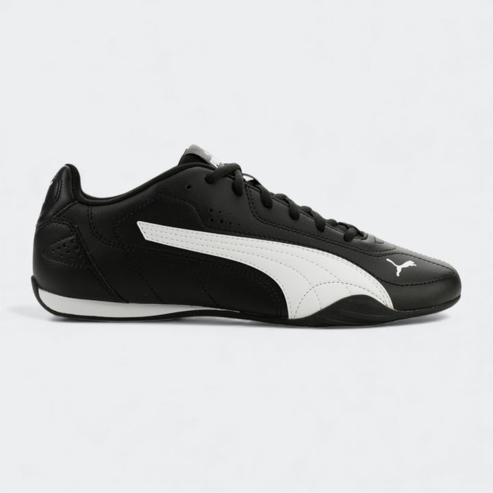 Puma Catch