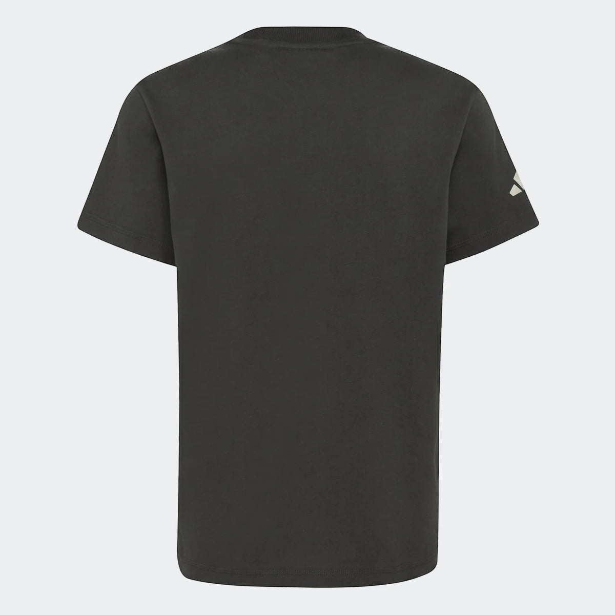 Kids' Audi Revolut F1 Team Dna Graphic T-Shirt in dark grey, back view, featuring a partial graphic on the sleeve.