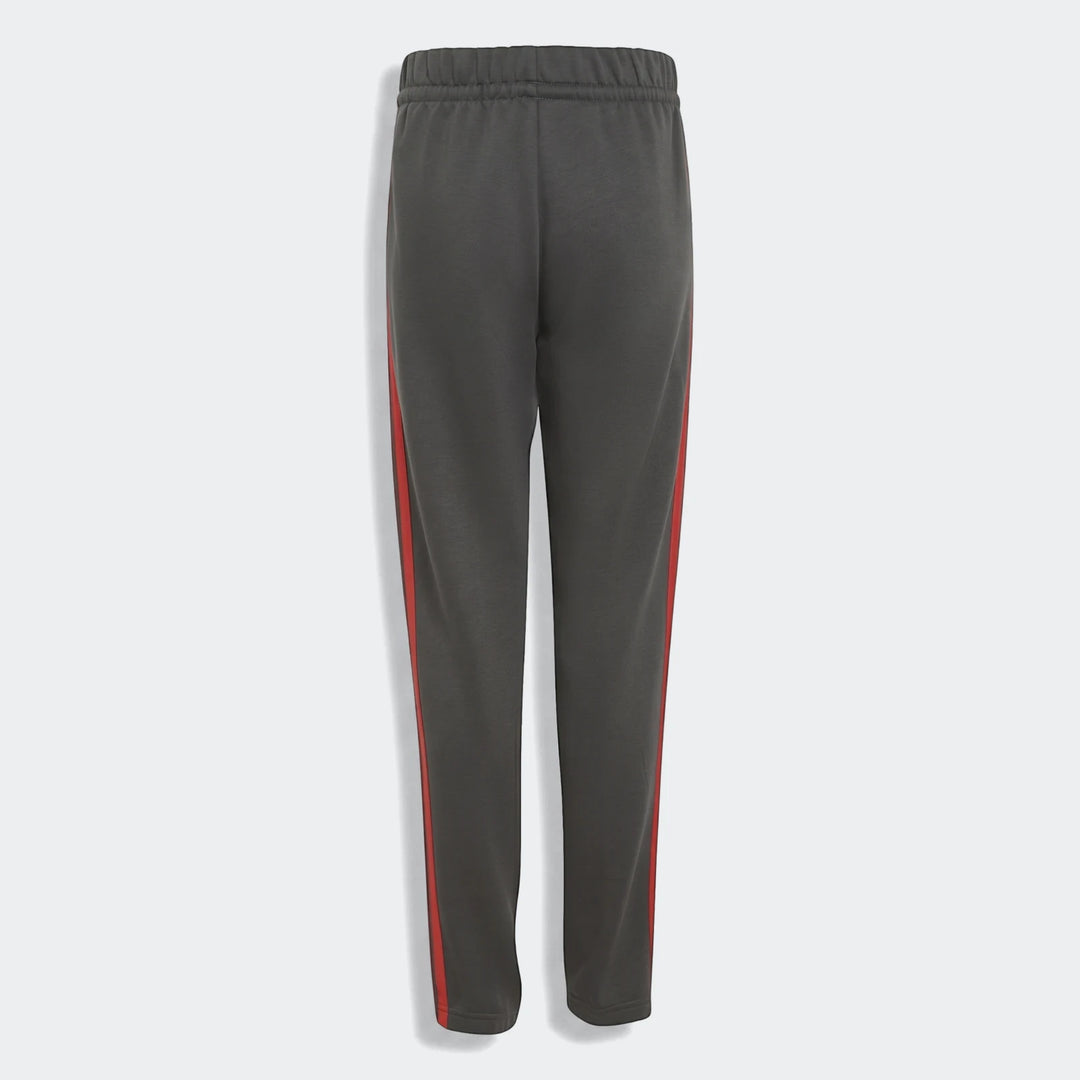 Audi Revolut F1 Team Dna Pants Youth in dark gray with red side stripes, featuring an elastic waistband, shown from the back
