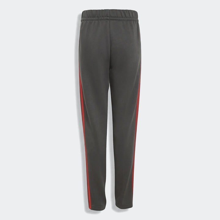 Audi Revolut F1 Team Dna Pants Youth in dark gray with red side stripes, featuring an elastic waistband, shown from the back