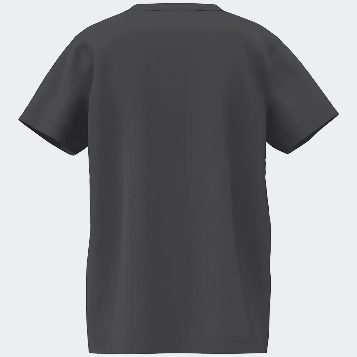 Dark gray Essential Yout T-Shirt, presented from the back view, featuring short sleeves and a simple round neck.