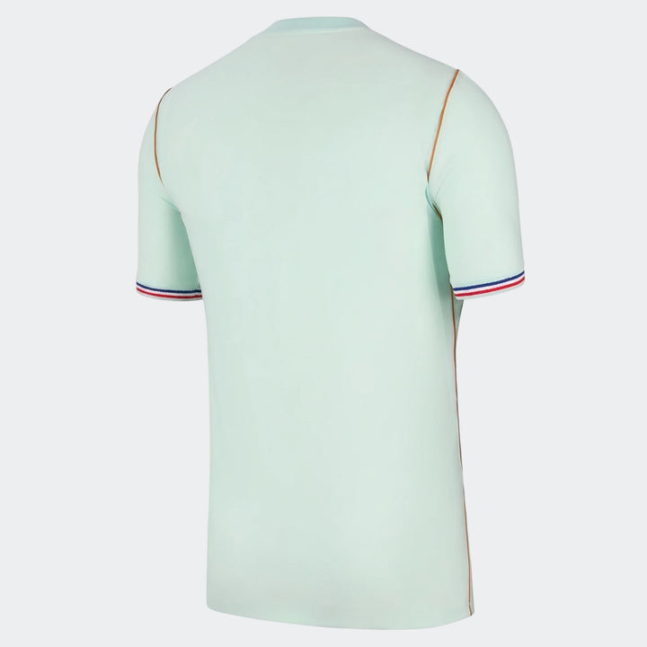 France National Team 2026 Stadium Away Men's Nike Dri-Fit soccer jersey in light green, shown from the back with striped