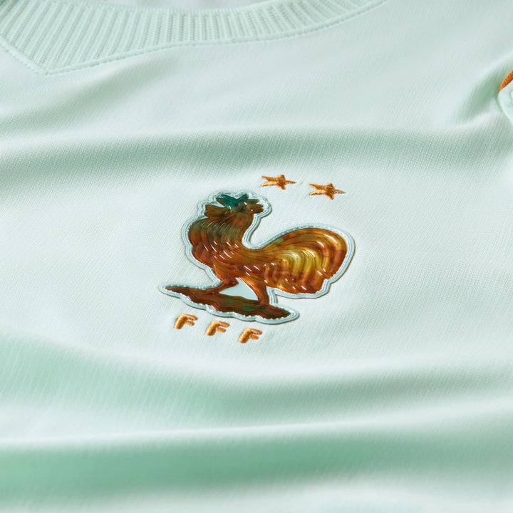 Close-up of France National Team 2026 Stadium Away Green Nike Dri-Fit Men's Soccer Jersey with rooster emblem, two stars,