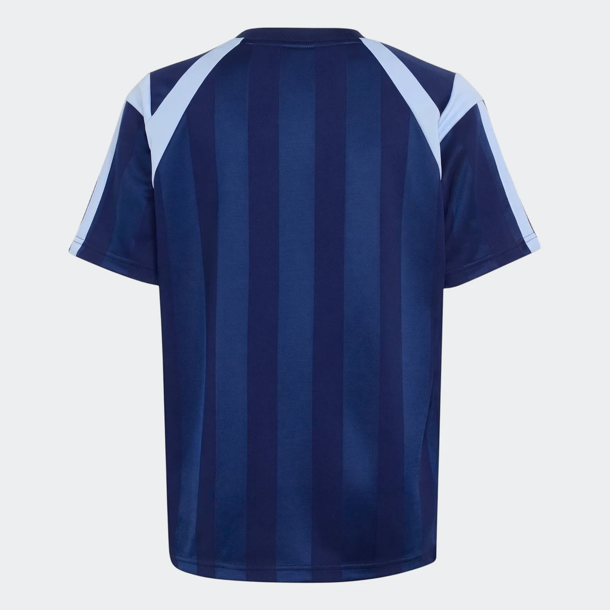 Back view of a House Of Tiro Unisex T-shirt in navy blue, featuring vertical stripes and light blue shoulder panels, shown