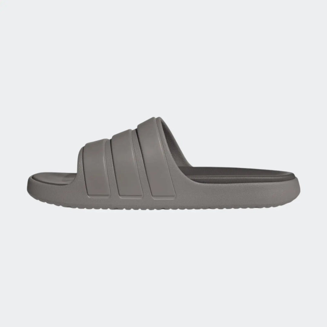 Znsory Slides