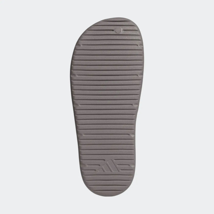 Znsory Slides