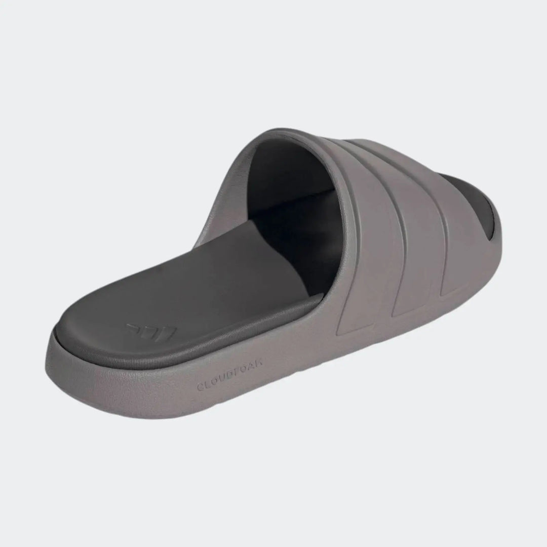 Znsory Slides