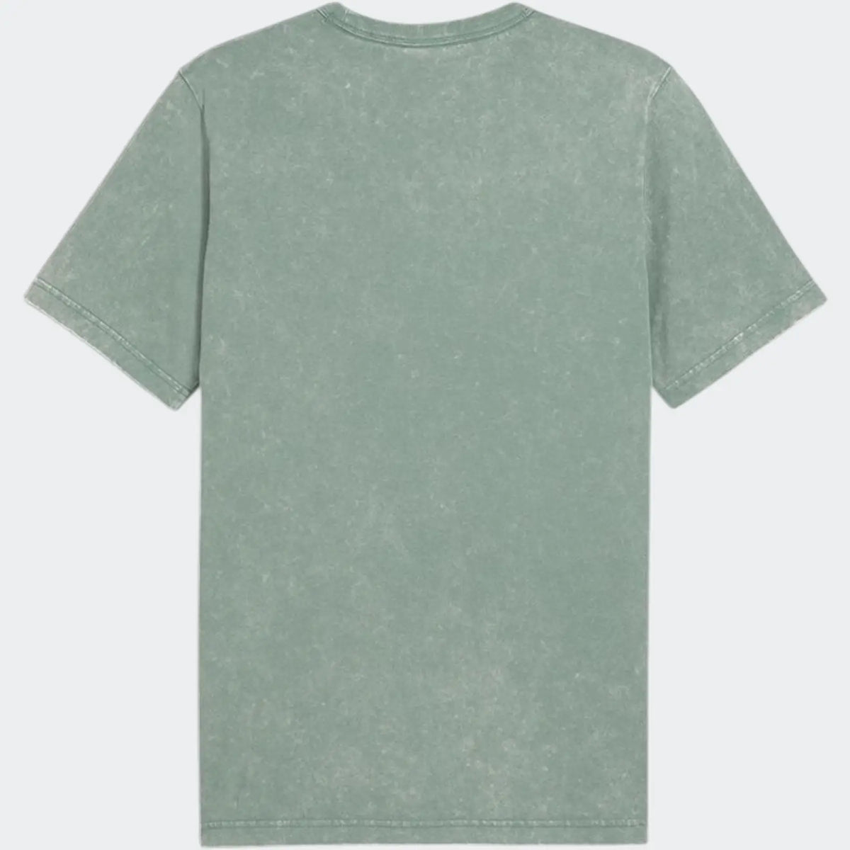 Puma Class Washed Tee Green T-Shirts
