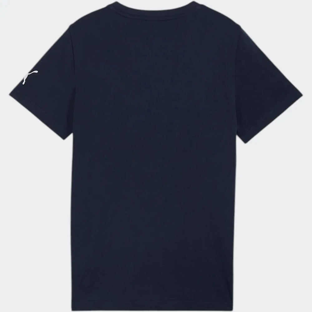 Graphics Tee 2 Blue T-Shirts