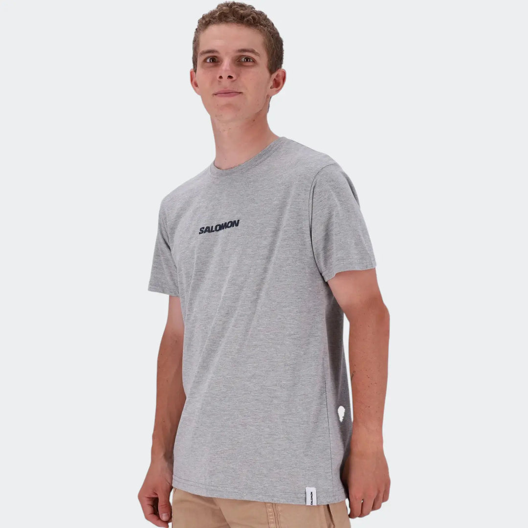 Logo Ss Tee Grey T-Shirts