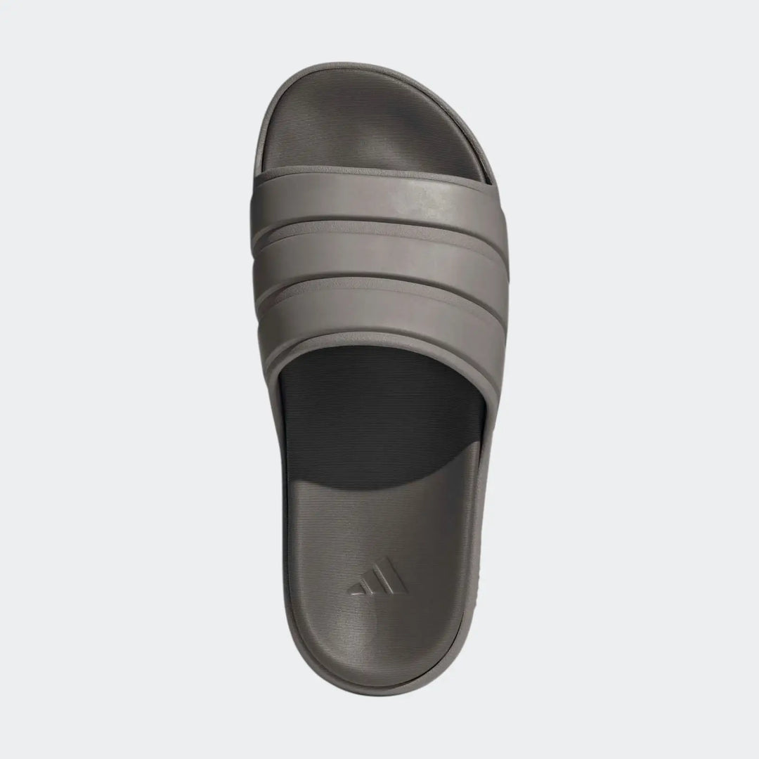 Znsory Slides