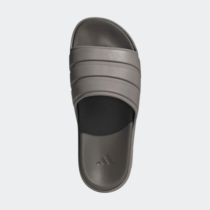 Znsory Slides