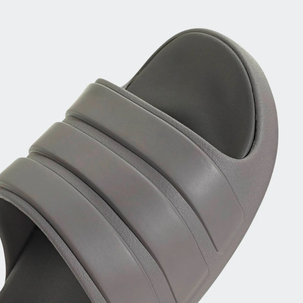 Znsory Slides