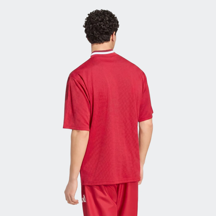 Liverpool FC Street Jersey in red mesh fabric, short sleeves with white collar trim, back view.