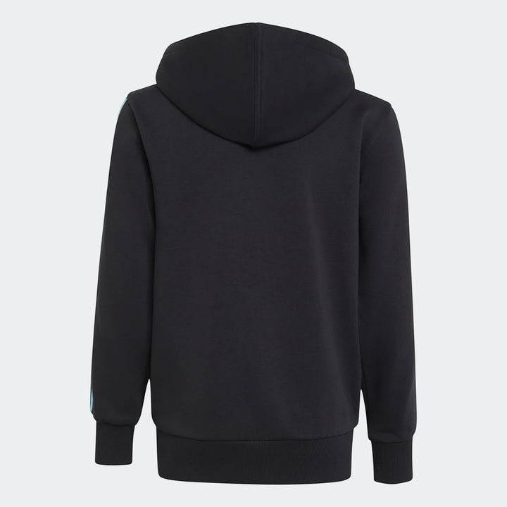 Black Mercedes-AMG Petronas Formula 1 Team DNA hoodie for kids, viewed from the back, featuring light blue stripes on the