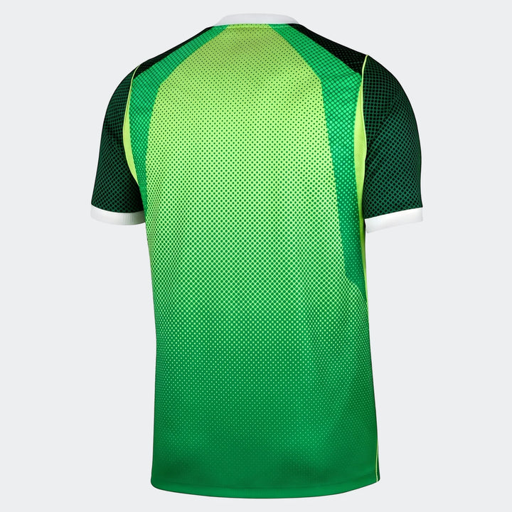 Back view of Nigeria 2026 Stadium Home green men's Nike Dri-Fit soccer short-sleeve jersey with dotted pattern and white